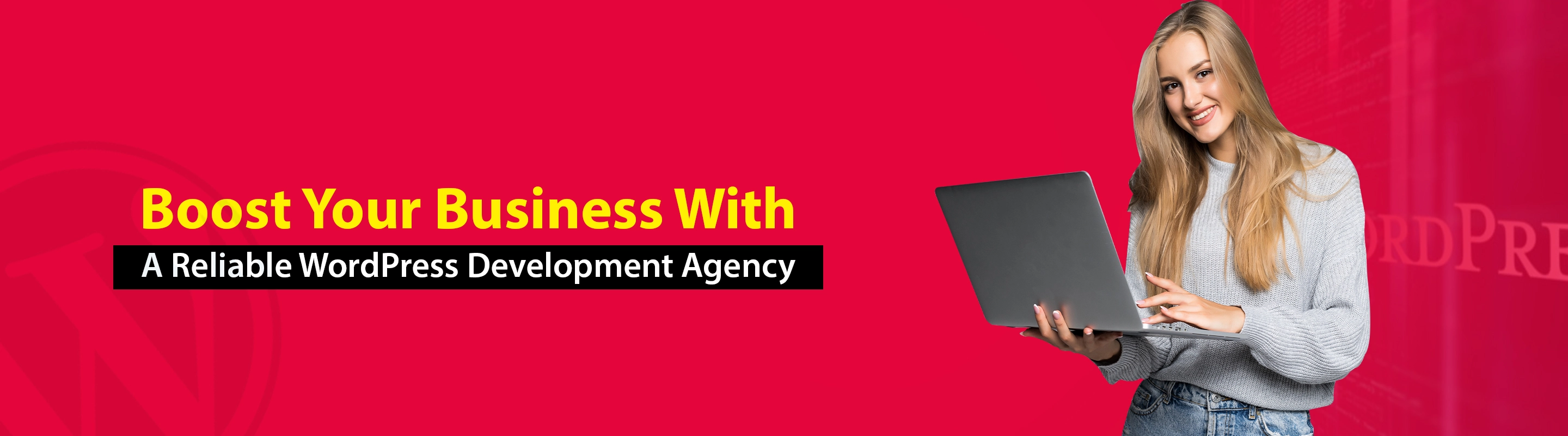 WordPress Development Agency